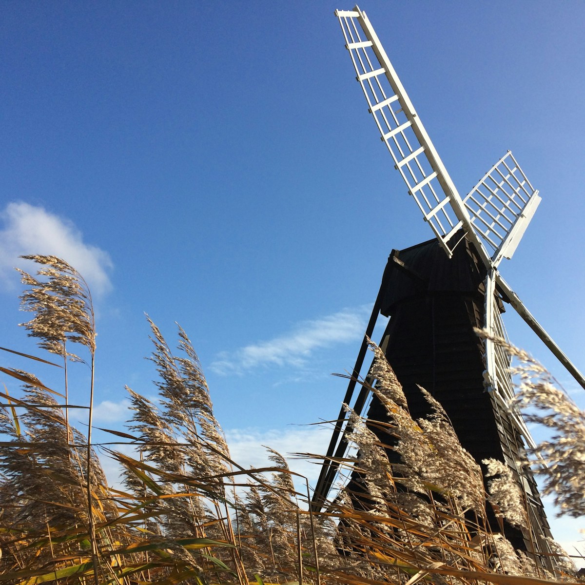 Credit: Wicken Fen, Glynis Pierson