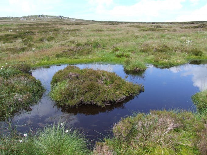 Restored upland bog Forest Bowland cf8298bb115a4aa4828f3ab83c4578aa